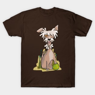 Beasty Boy and Ball T-Shirt